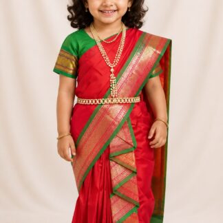 Mastani Saree