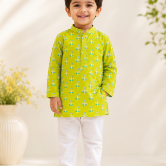 Jay Printed Kurta in Parrot Green